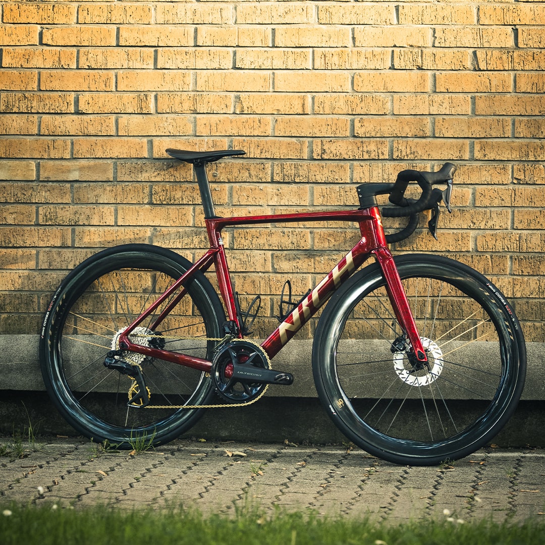 Custom Road Bike Advantage: Fit, Performance Savings Approved