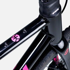 Nich KEM gravel Bike