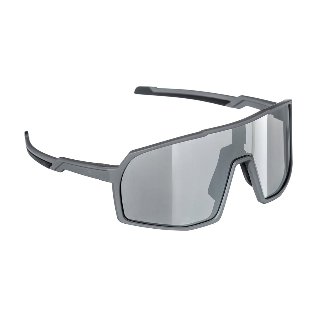 Bike SUNGLASSES VISION gray/mirror