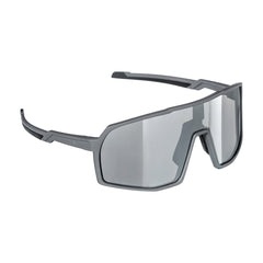 Bike SUNGLASSES VISION gray/mirror