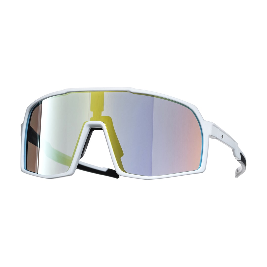 Bike SUNGLASSES VISION white/gold