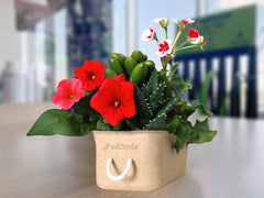 Road Bike Tires Vittoria N.EXT G2.0 TLR